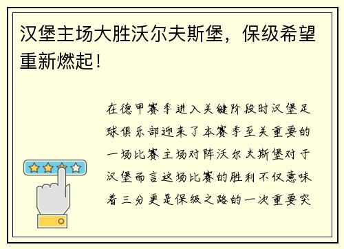 汉堡主场大胜沃尔夫斯堡，保级希望重新燃起！